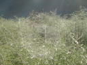 DSC00228