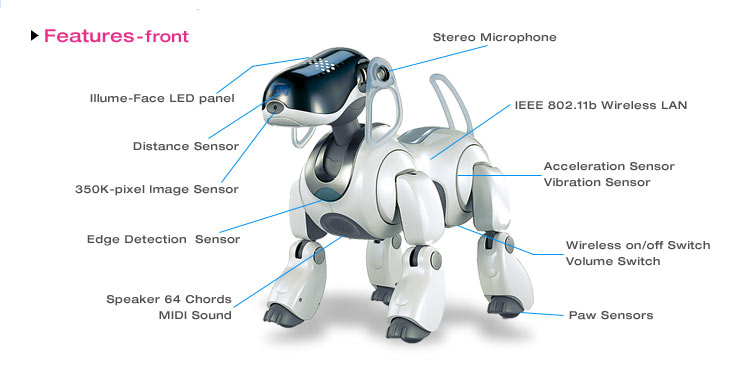 Honda aibo #5