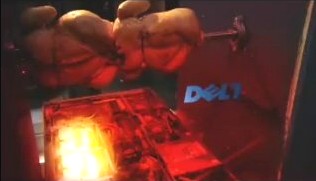 dell-chicken1.jpg